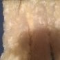 Halloween Ark Pink Lamb Costume Infants 6-12 months baby Girls 2 piece new