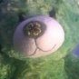 Build A Bear Irish Shamrock plush green stuffed 15 inch New holiday