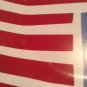 New Year plate patriotic Brother Sister Design Studio USA American 2008