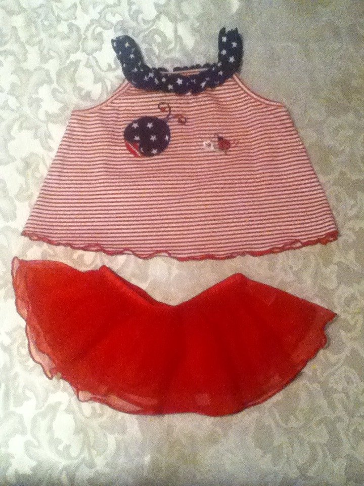 Valentines Day Carters skirt Ladybug Blueberi top 24 mo  2 piece set