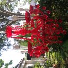 Red Chandelier