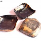 Serve ware Antique Shape Horn Mold Bottom Serving Plate Premium Quality Set Of 3