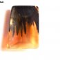 Natural Horn Plate Made from 100% Natural Horn Set Of 3 Premium Quality