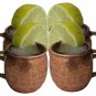 Authentic HAMMERED COPPER MOSCOW MULE 2-OZ SHOTS MUG SET OF 4