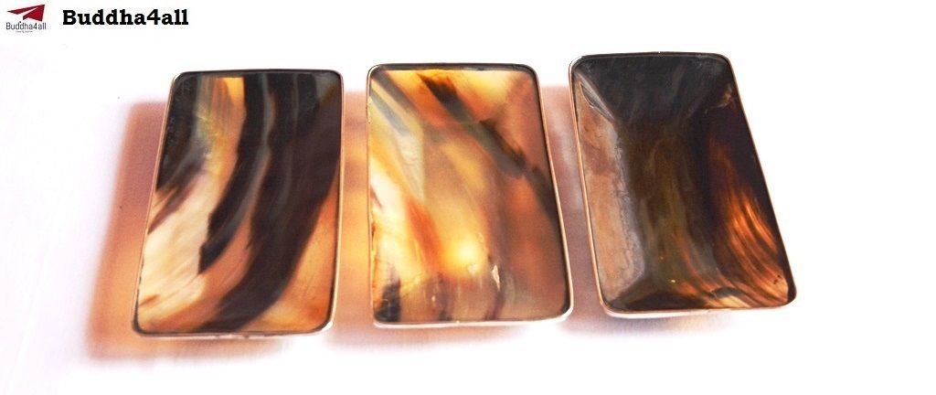 Premium Quality Serve ware Rectangular Shape With Brass Horn Serving Plate Set 3
