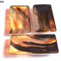 Premium Quality Serve ware Rectangular Shape With Brass Horn Serving Plate Set 3