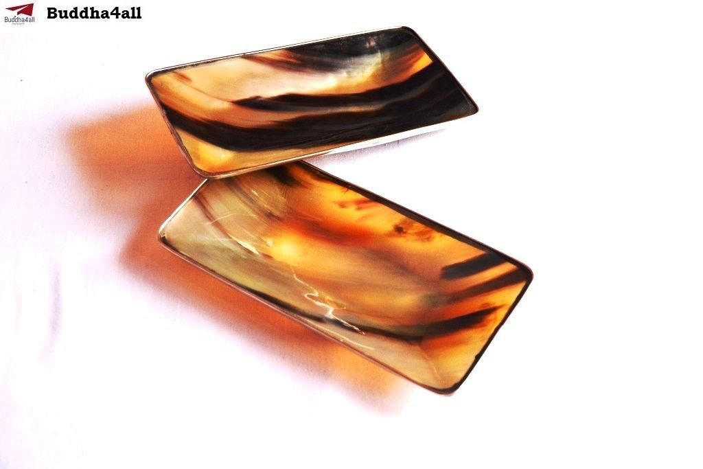 Premium Quality Serve ware Rectangular Shape With Brass Horn Serving Plate Set 2