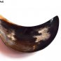 Horn Serving Plate Premium Quality Half Moon Shape Serve ware Set Of 2