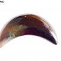 Horn Serving Plate Premium Quality Half Moon Shape Serve ware Set Of 2