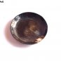 Horn Bowl Premium Quality Serve ware Round Shape For Snacks Set of 2