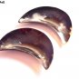 Horn Serving Plate Premium Quality Serve ware Half Moon Shape  Set Of 1