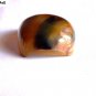 Horn Bowl Premium Quality Serve ware Square Cut Shape For Snacks Set of 1