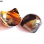 Horn Bowl Premium Quality Serve ware Square Cut Shape For Snacks Set of 1