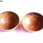 Serve ware Handmade Horn Bowl Natural Horn Material For Your Snacks Set of 2