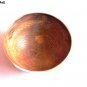 Serve ware Handmade Horn Bowl Natural Horn Material For Your Snacks Set of 2