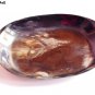 Horn Serving Plate Premium Quality Serve ware Rectangular Round Shape Set Of 1