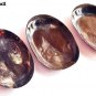 Horn Serving Plate Premium Quality Serve ware Rectangular Round Shape Set Of 1