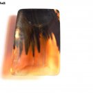Natural Horn Plate Made from 100% Natural Horn Set Of 1  Premium Quality