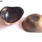 Horn Bowl Serve Ware Triangular Round Shape Premium Quality For Snacks Set Of 1