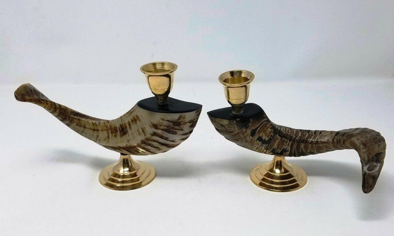 Horn Candle Holder Brass Mounted RAM Horn Candle Holders Measurements Set of 2