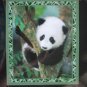 The World-Famous San Diego Zoo
