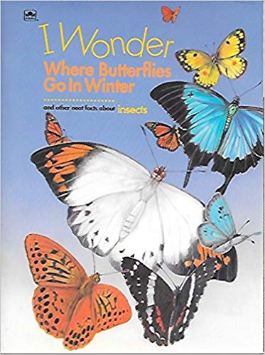 I Wonder Where Butterflies Go In Winter by Molly Marr