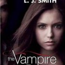 The Vampire Diaries: The Fury by L.J. Smith