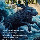 The Witch's Brew, Vol 10 - 4