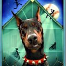 Swindle by Gordon Korman