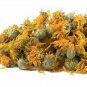 Arnica flowers whole 1 lb