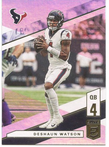 DESHAUN WATSON