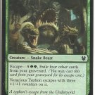 VORACIOUS TYPHON