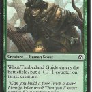 TIMBERLAND GUIDE (FOIL)