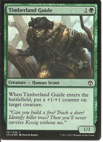 TIMBERLAND GUIDE (FOIL)