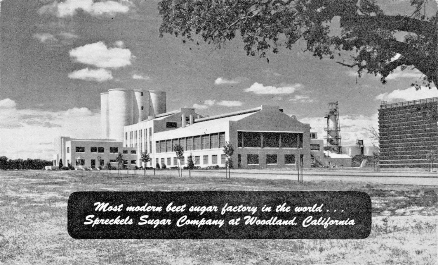 WOODLAND MANTECA SALINAS CASPRECKELS SUGAR COMPANYMOST MODERN FACTORY