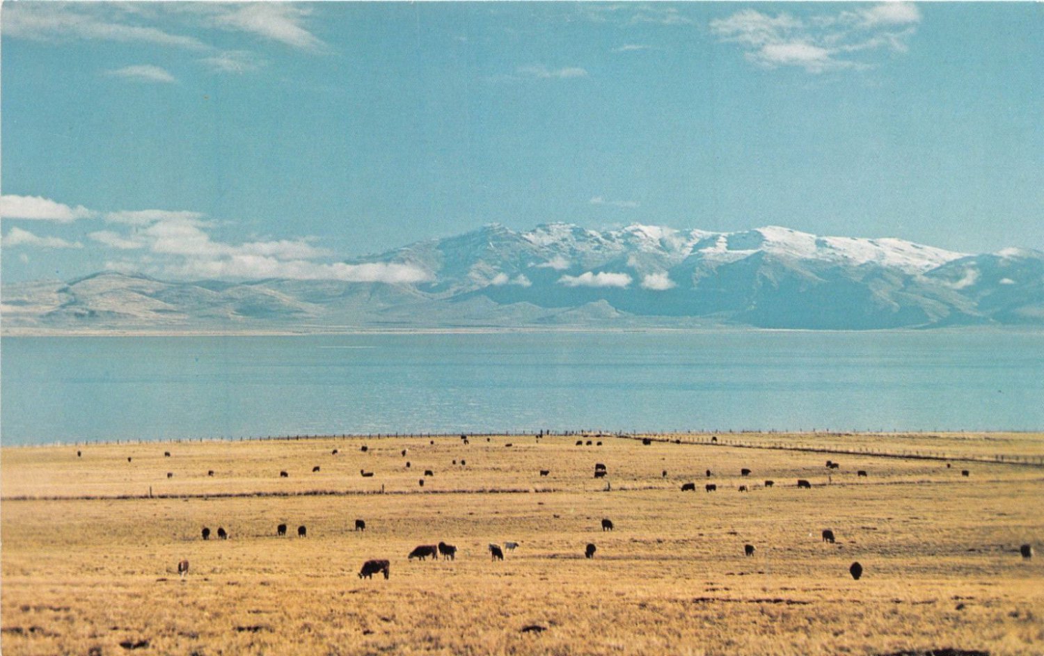 LASSEN COUNTY CALIFORNIAHONEY LAKE POSTCARD 1960s