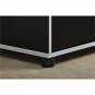 Ameriwood Home Cabinet Door Base Budget Durable 2 Shelves SystemBuild Black