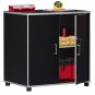Ameriwood Home Cabinet Door Base Budget Durable 2 Shelves SystemBuild Black