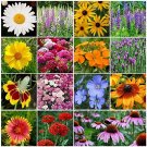 David's Garden Seeds Wildflower All Perennial Seed Mix SL112CE (Multi) 500 Op...