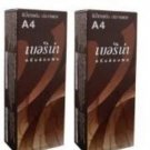 X2 A4 Berina Dark Red Brown Permanent Hair Dye Color Brunette Auburn Emo Punk