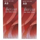 X2 A9 Berina Garnet Red Permanent Hair Dye Scarlet Color Cream Punk Emo Cosplay