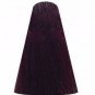 X2 A14 Berina Dark Brown Violet Permanent Hair Dye Chocolate Cherry Color Cream
