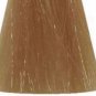 X2 A18 Berina Golden Blonde Permanent Hair Dye Color Cream Punk Emo Dark Blonde