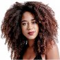 X2 A4 Berina Dark Red Brown Permanent Hair Dye Color Brunette Auburn Emo Punk