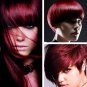 X2 A9 Berina Garnet Red Permanent Hair Dye Scarlet Color Cream Punk Emo Cosplay
