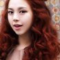 X2 A12 Berina Red Violet Blonde Permanent Hair Dye Color Auburn Emo Punk Goth