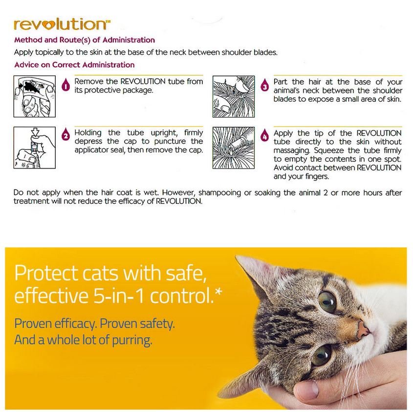 Revolution Flea Tick Control Kitten Puppies Spot On All In One Dewormer