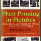 Pair of Books about PRUNING :: FREE Shipping