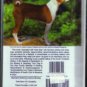BASENJIS HB :: FREE Shipping