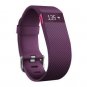 fitbit Charge, Charge Hr, Flex, Surge, Large Small best prices on Ebay, options